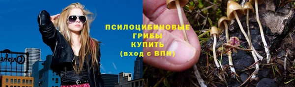 спайс Няндома