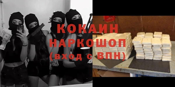 спайс Няндома