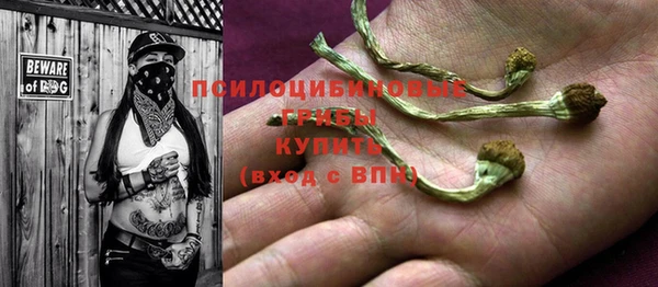 гидропоника Нягань
