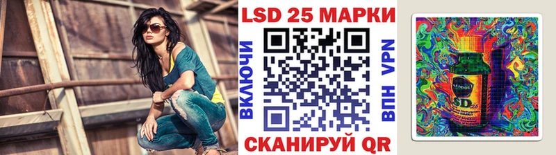 как найти наркотики  ОМГ ОМГ вход  Наркотические марки 1500мкг  Новотитаровская 